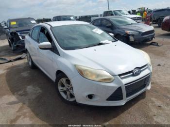  Salvage Ford Focus