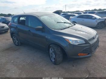  Salvage Ford Escape