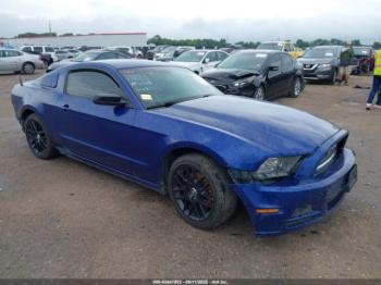  Salvage Ford Mustang