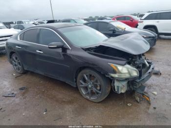  Salvage Nissan Maxima