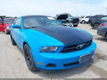  Salvage Ford Mustang