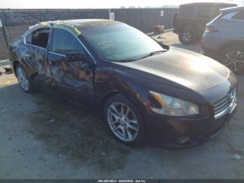  Salvage Nissan Maxima