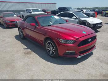  Salvage Ford Mustang