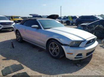  Salvage Ford Mustang