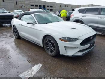  Salvage Ford Mustang