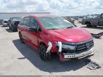  Salvage Honda Odyssey