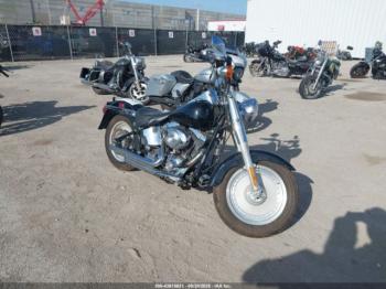  Salvage Harley-Davidson Flstf