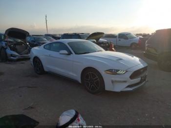  Salvage Ford Mustang