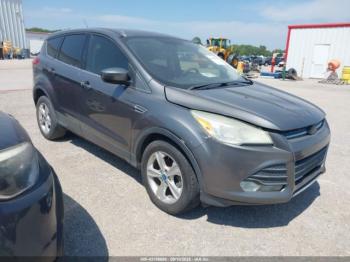  Salvage Ford Escape
