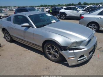  Salvage Ford Mustang