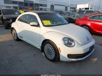  Salvage Volkswagen Beetle