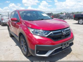  Salvage Honda CR-V