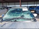 Honda Civic Ex Image 10