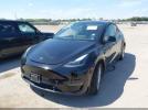 Tesla Model Y Image 3