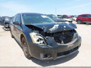  Salvage Nissan Maxima