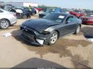 Ford Mustang Ecoboost Image 5