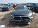 Ford Mustang Ecoboost Image 11