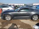 Ford Mustang Ecoboost Image 13