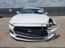 Ford Mustang Ecoboost Fastback Image 5