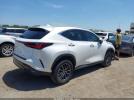 Lexus NX Premium Image 6