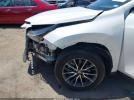 Lexus NX Premium Image 2