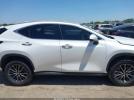Lexus NX Premium Image 11