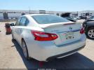 Nissan Altima 2.5 Sl Image 8