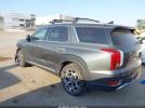 Hyundai PALISADE Calligraphy Image 14