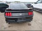 Ford Mustang Ecoboost Image 14