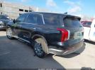 Hyundai PALISADE Sel Image 5