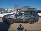 Subaru Forester Wilderness Image 12