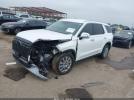Hyundai PALISADE Sel Image 3