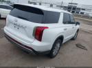 Hyundai PALISADE Sel Image 5