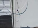 Salem Cruise Lite Image 8