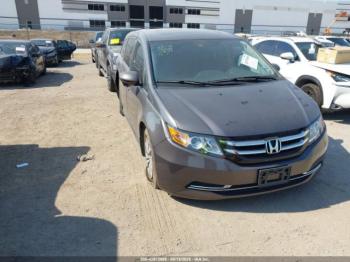  Salvage Honda Odyssey
