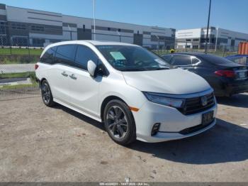  Salvage Honda Odyssey