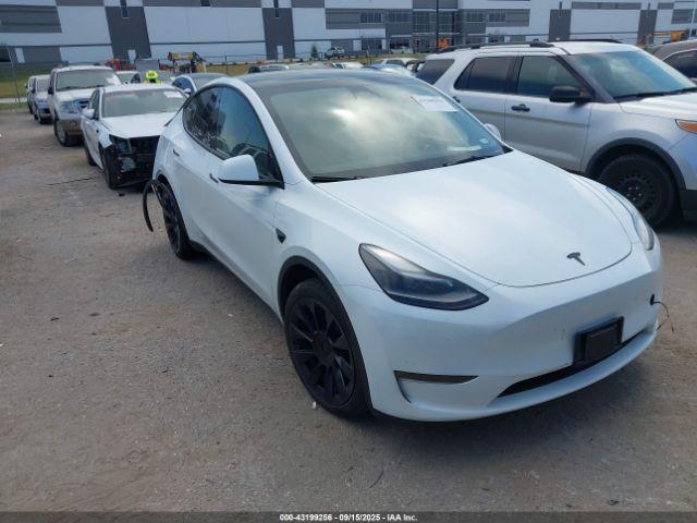  Salvage Tesla Model Y