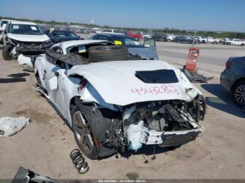  Salvage Ford Mustang