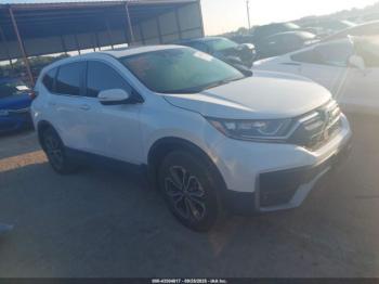  Salvage Honda CR-V