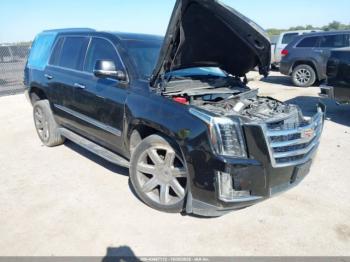  Salvage Cadillac Escalade