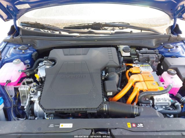 Hyundai ELANTRA Limited Image 8