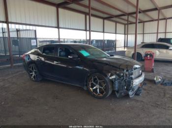  Salvage Nissan Maxima