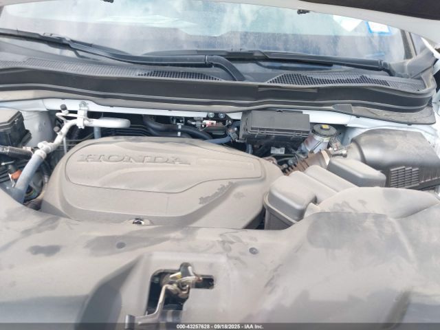 Honda Passport Awd Ex-l Image 13