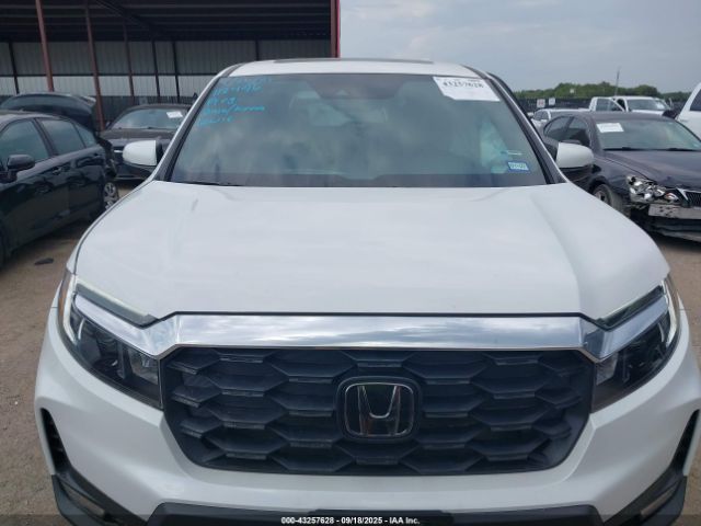 Honda Passport Awd Ex-l Image 8