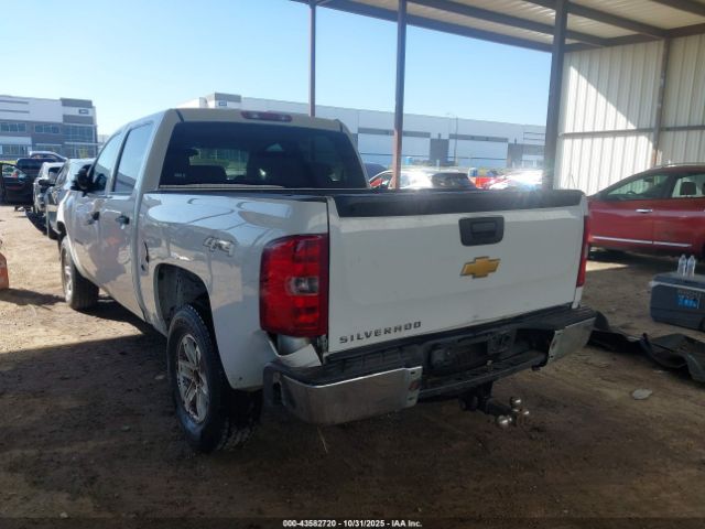 Chevrolet Silverado 1500 Work Truck Image 6