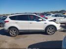 Ford Escape Sel Image 8