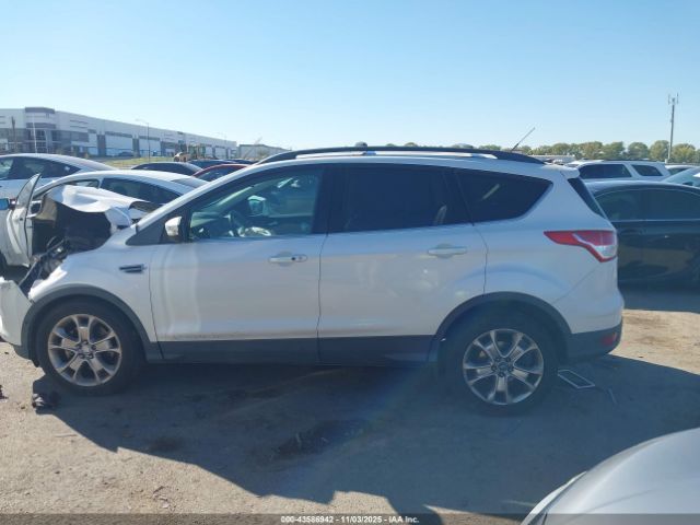 Ford Escape Sel Image 6