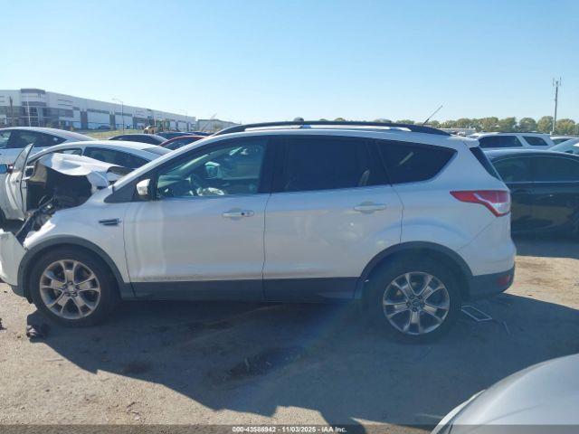Ford Escape Sel Image 6