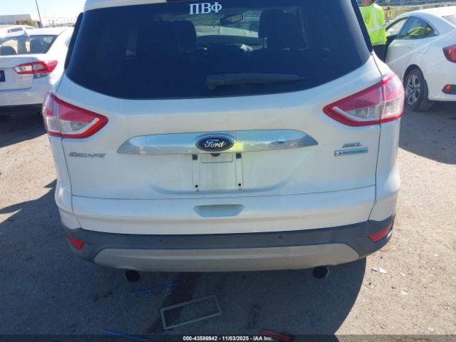 Ford Escape Sel Image 3