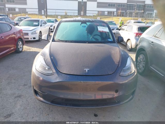 Tesla Model Y Long Range Dual Motor All-wheel Drive Image 8